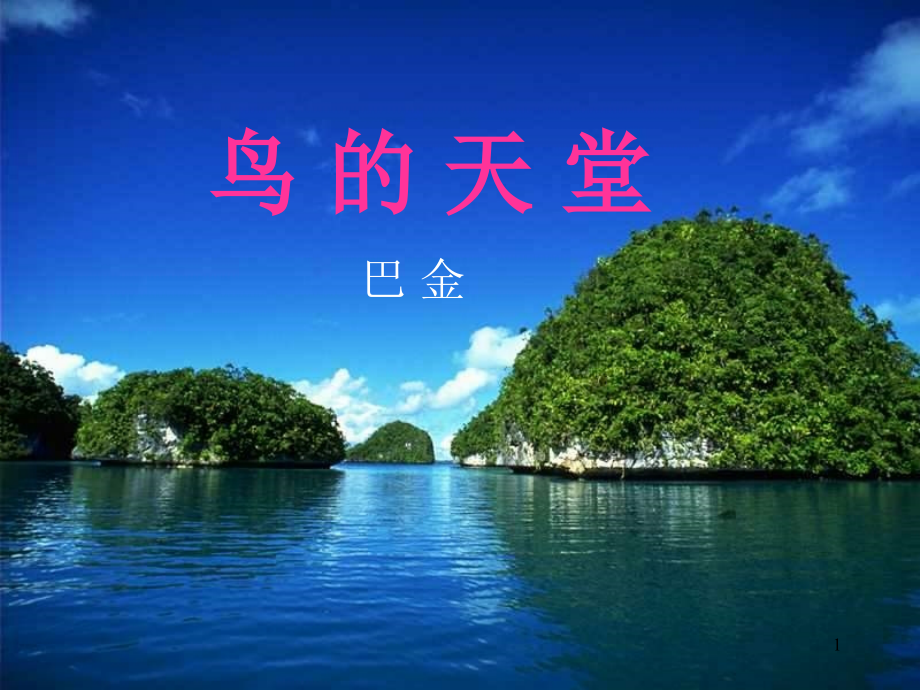 《鸟的天堂》(公开课)(课堂PPT).ppt_第1页