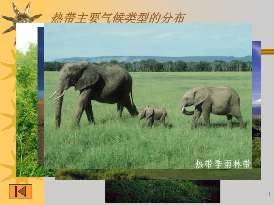 世界气候类型分布课件.ppt_第1页