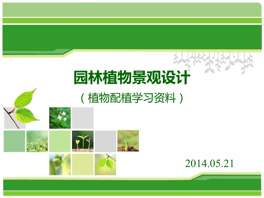 园林植物景观设计的图纸要求优秀课件.ppt_第1页