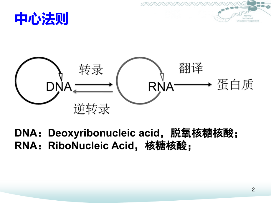 中国科技大学系列：《生物信息学》02(课堂PPT).ppt_第2页