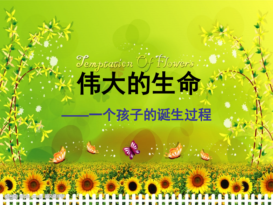 伟大的生命一个孩子的诞生过程(课堂PPT).ppt_第1页