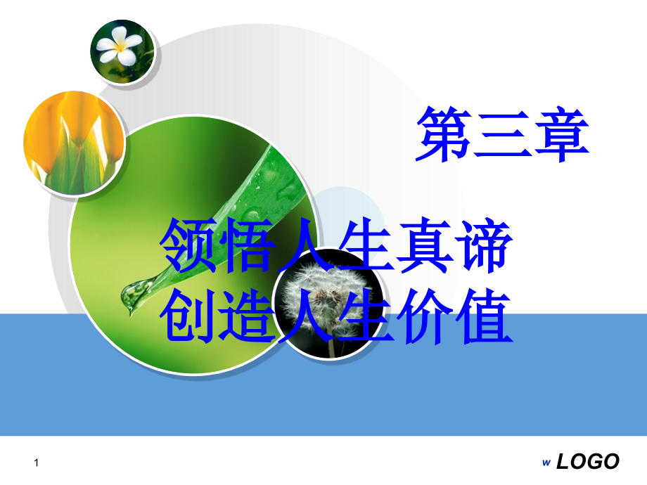世界观人生观价值观(课堂PPT).ppt_第1页