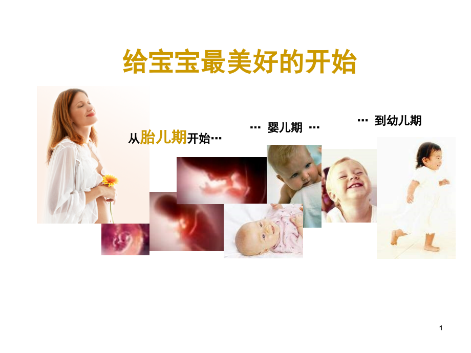 健康与疾病的发育起源(课堂PPT).ppt_第1页