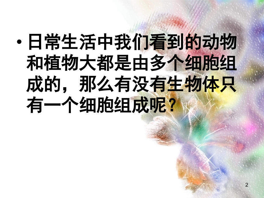 七年级生物《单细胞生物》.ppt_第2页