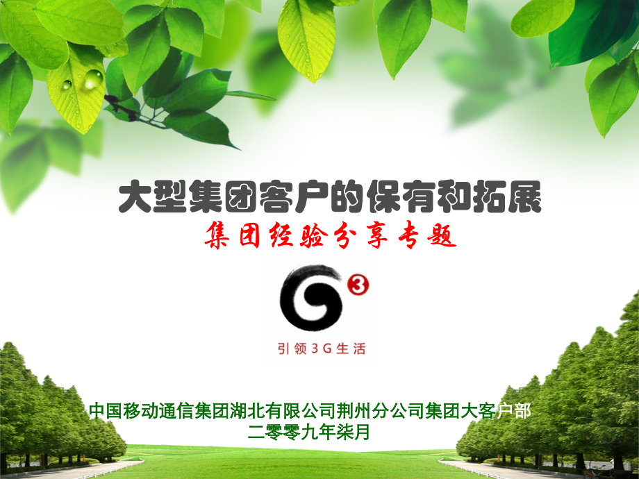 大型集团客户的保有和拓展(课堂PPT).ppt_第1页