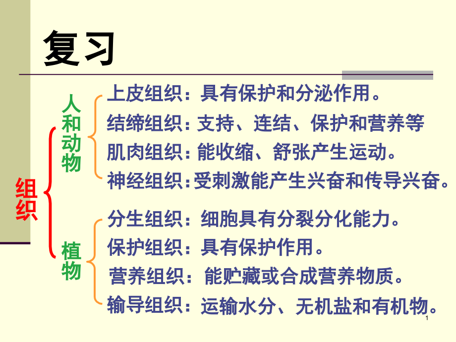 从生物圈到细胞(课堂PPT).ppt_第1页