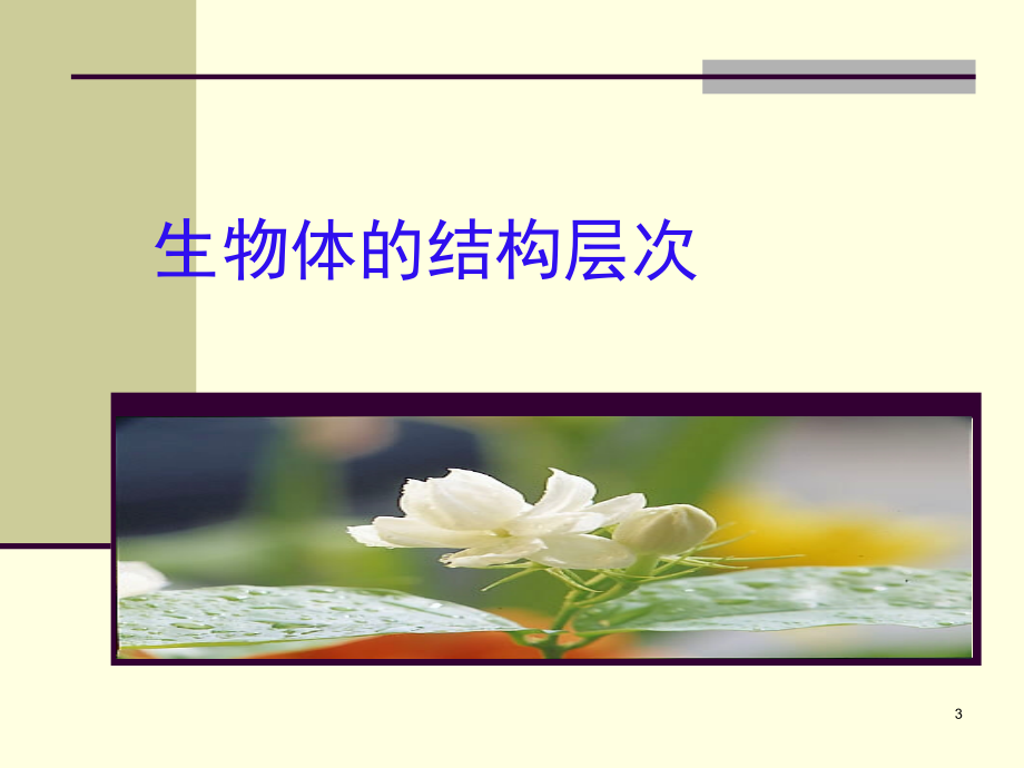 从生物圈到细胞(课堂PPT).ppt_第2页