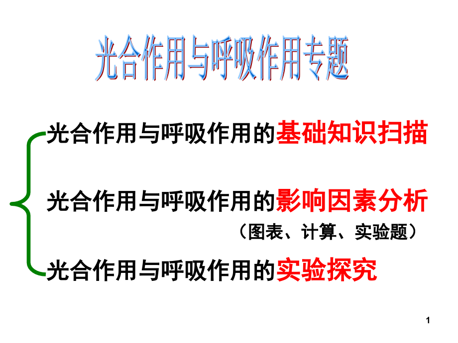 二轮复习光合作用与呼吸作用专题课件.ppt_第1页