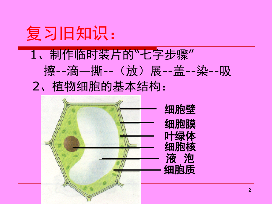 七年级生物上册观察动物细胞.ppt_第2页