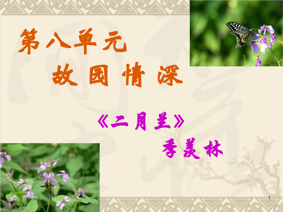 季羡林《二月兰》PPT课件.ppt_第1页