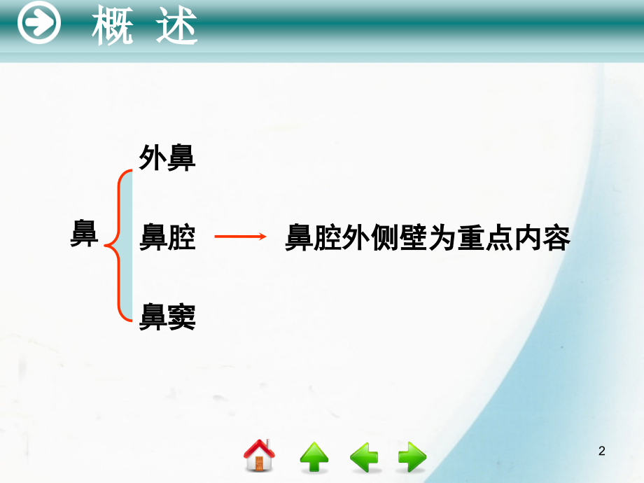 【经典】鼻解剖学及学(课堂PPT).ppt_第2页