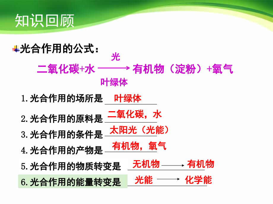 七年级上册生物第三单元第五章第二节绿色植物的呼吸作用.ppt_第1页