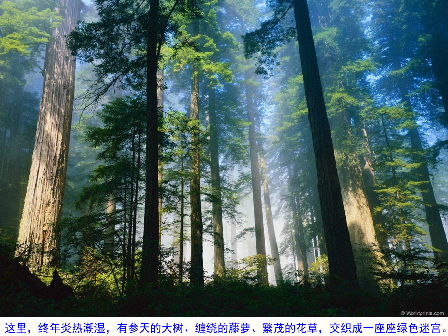 七年级地理《影响气候的主要因素》课件湘教版..ppt_第2页