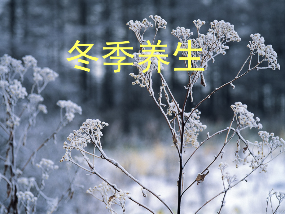 冬季养生(课堂PPT).ppt_第1页