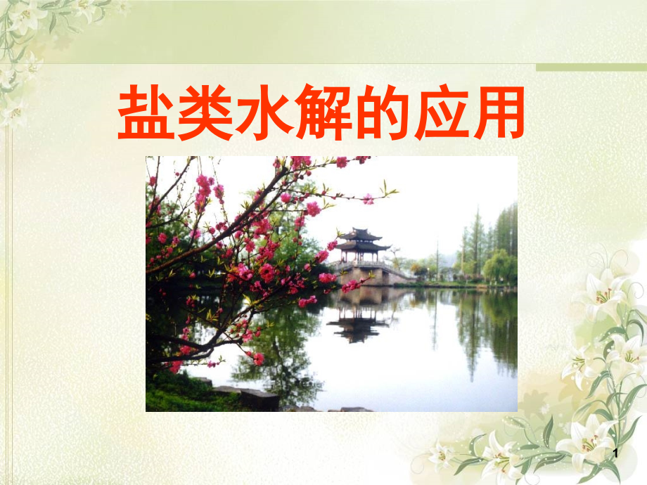 公开课《盐类水解的应用》(人教版选修4)(课堂PPT).ppt_第1页