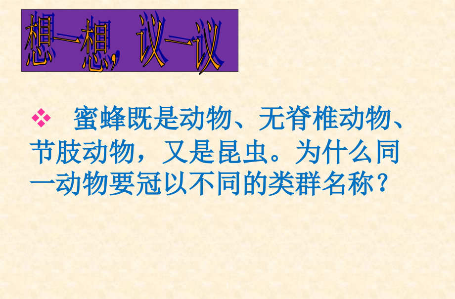 从种到界ppt课件.ppt_第1页