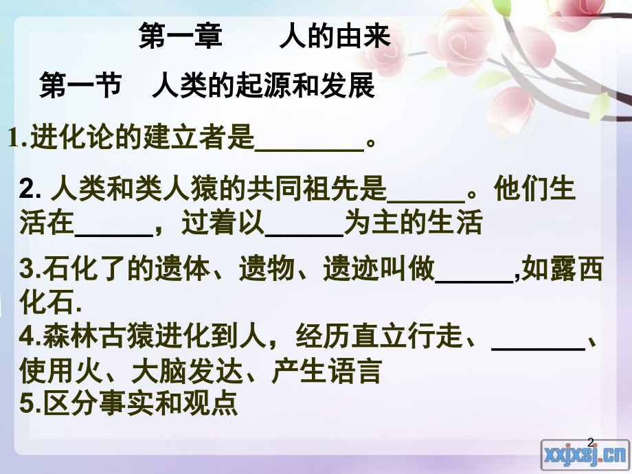人教版初一生物下册总复习.ppt_第2页
