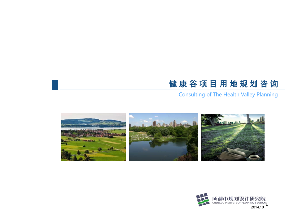 健康谷项目用地规划咨-文档资料.ppt_第1页