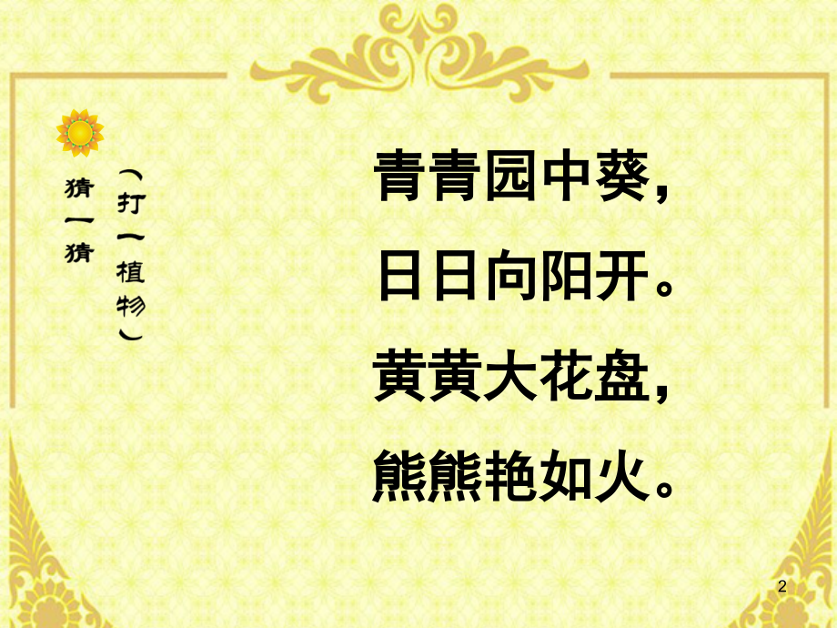 二年级美术向日葵(课堂PPT).ppt_第2页