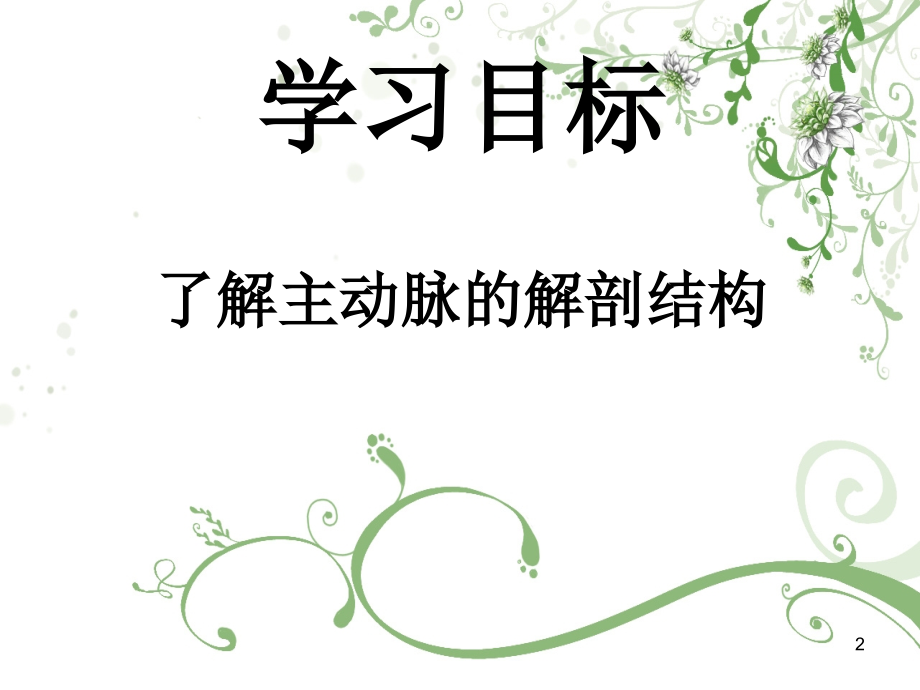 主动脉的解剖.ppt_第2页