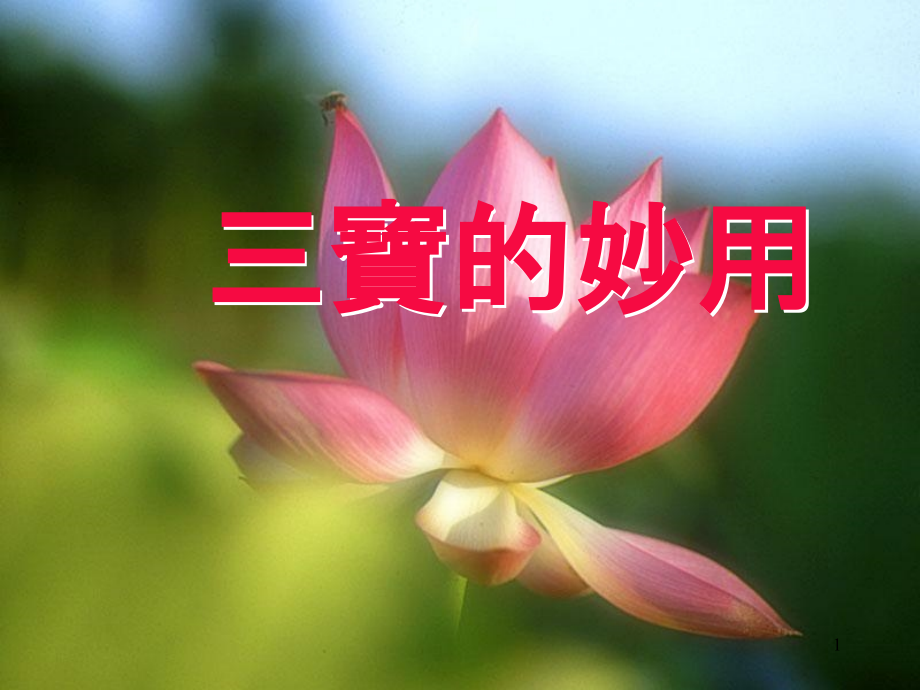 三宝的妙用.ppt_第1页