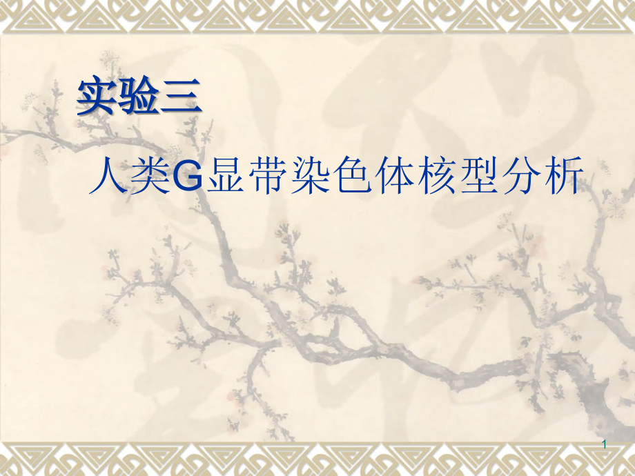 G显带核型分析F.ppt_第1页