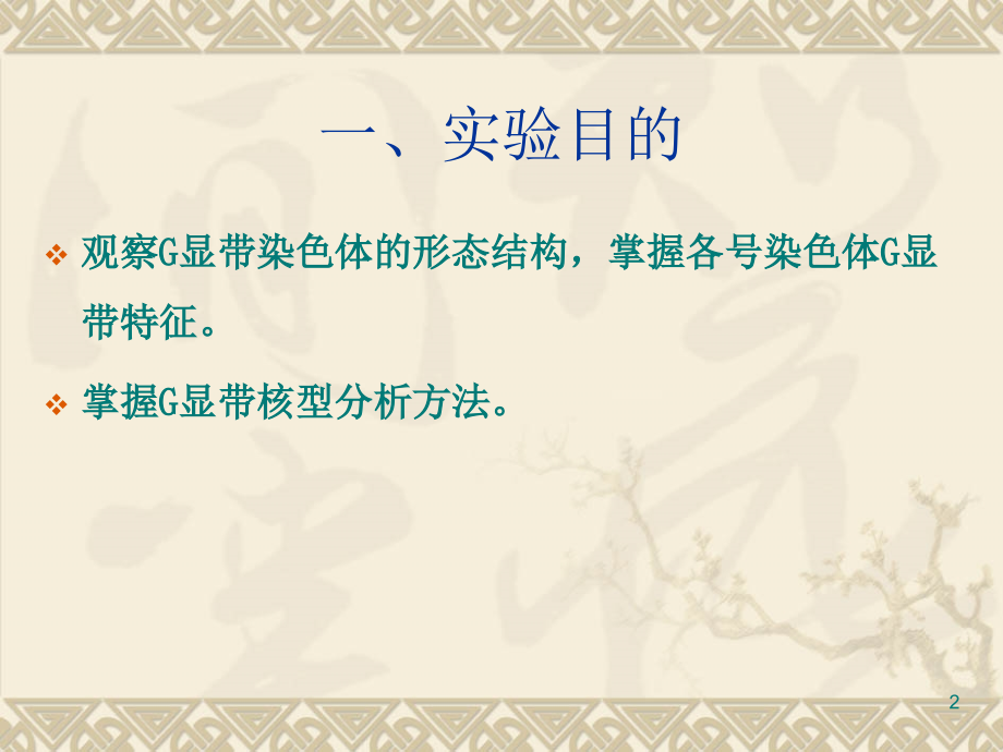 G显带核型分析F.ppt_第2页