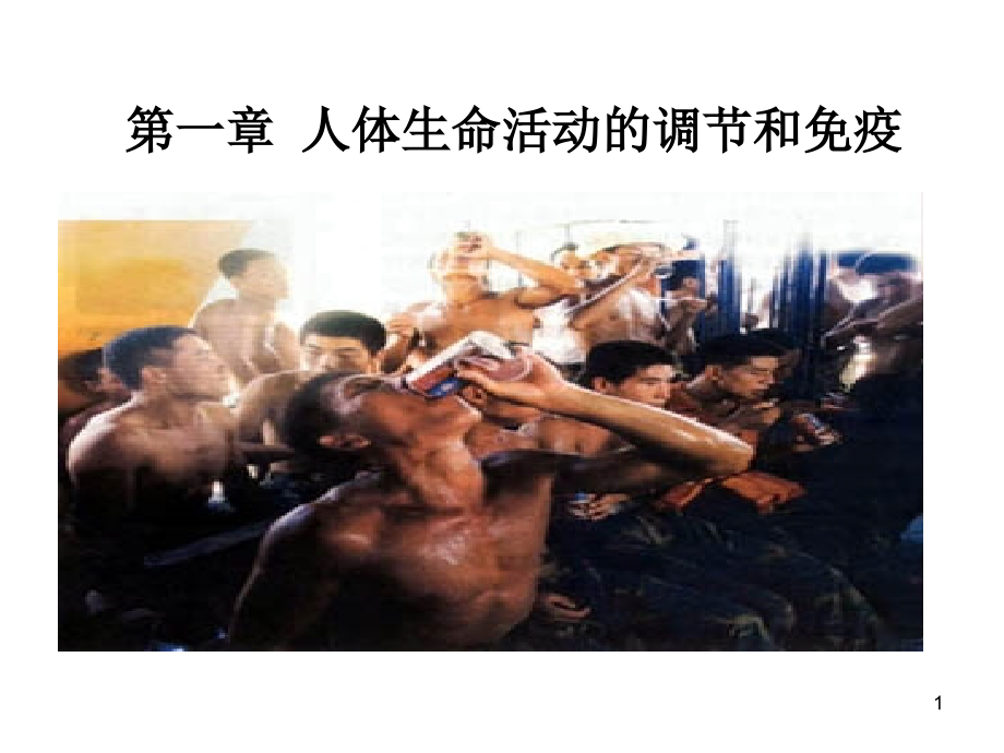 《人体的内环境与稳态》.ppt_第1页