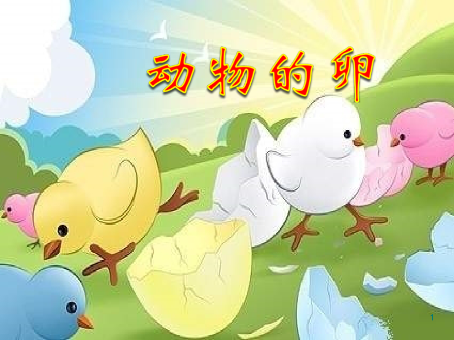 教科版四年级科学下册动物的卵.ppt_第1页