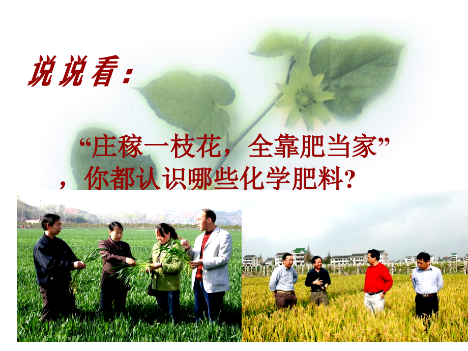 8.5化学肥料.ppt_第2页