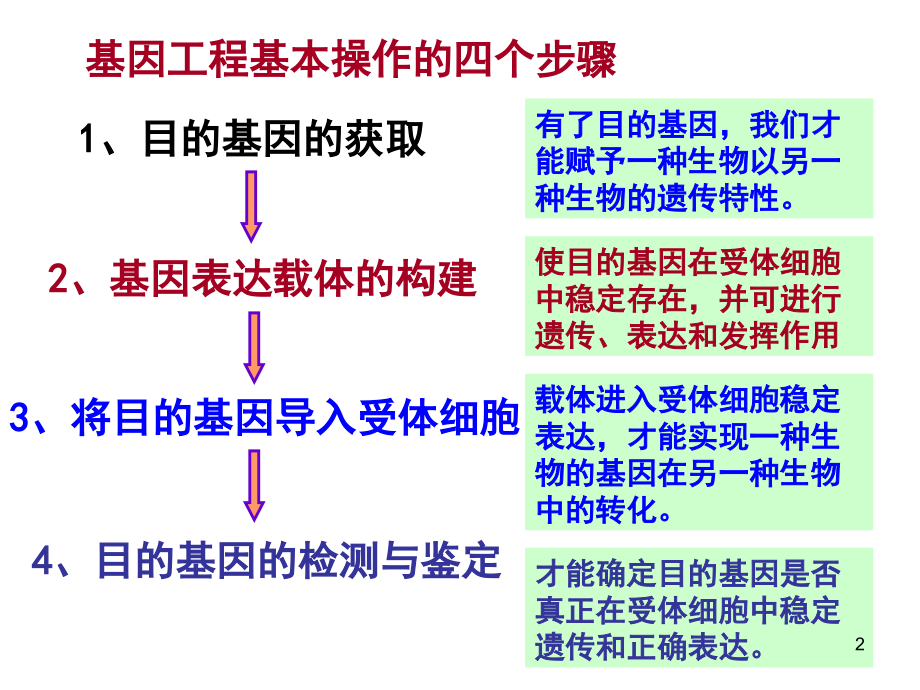 《-基因工程的基本操作程序》.ppt_第2页