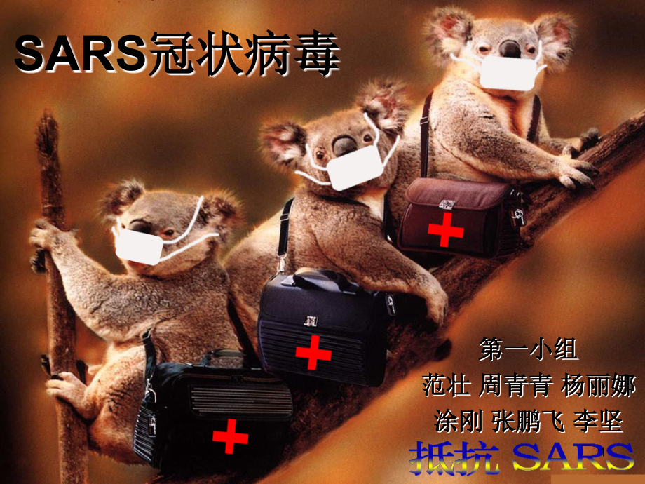 SARS冠状病毒汇总(课堂PPT).ppt_第1页