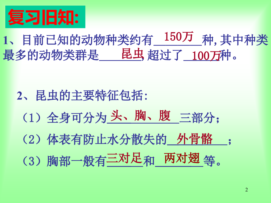 《昆虫的生殖和发育》课件.ppt_第2页