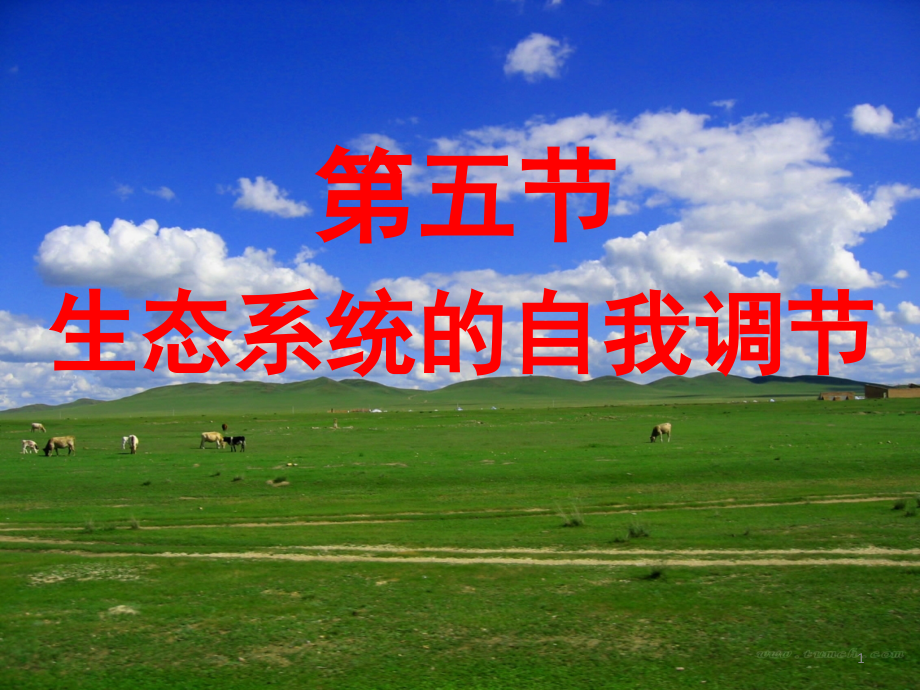 生态系统的自我调节-(课堂PPT).ppt_第1页