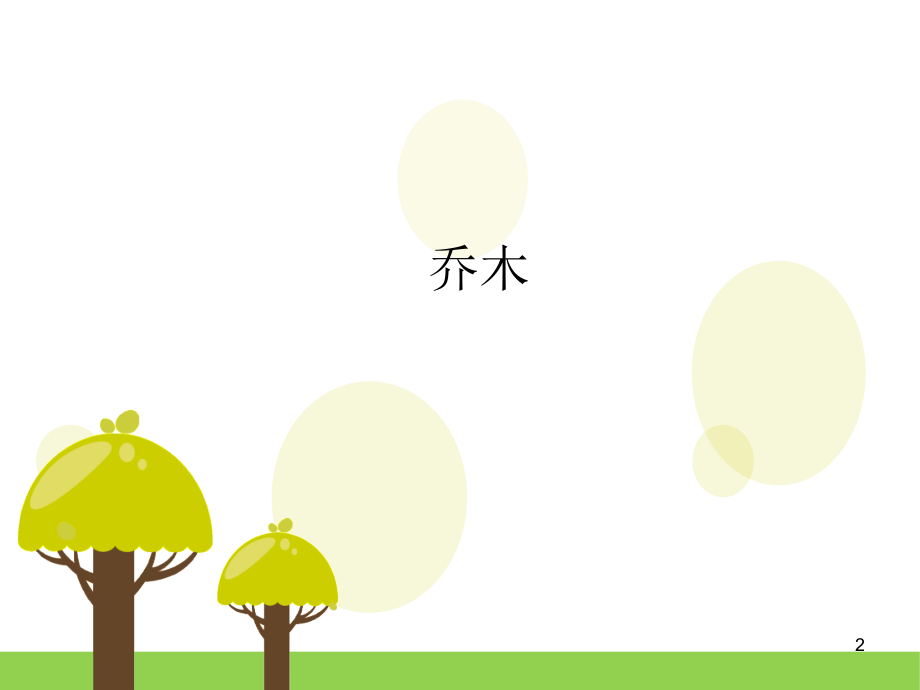 北方常见乔灌木优秀课件.ppt_第2页