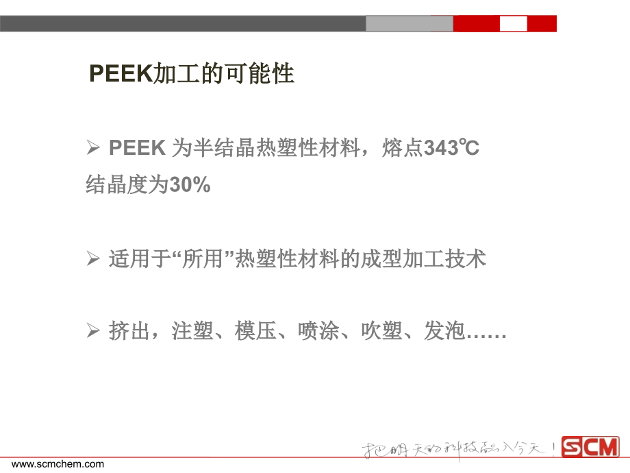 PEEK注塑加工成型.ppt_第2页