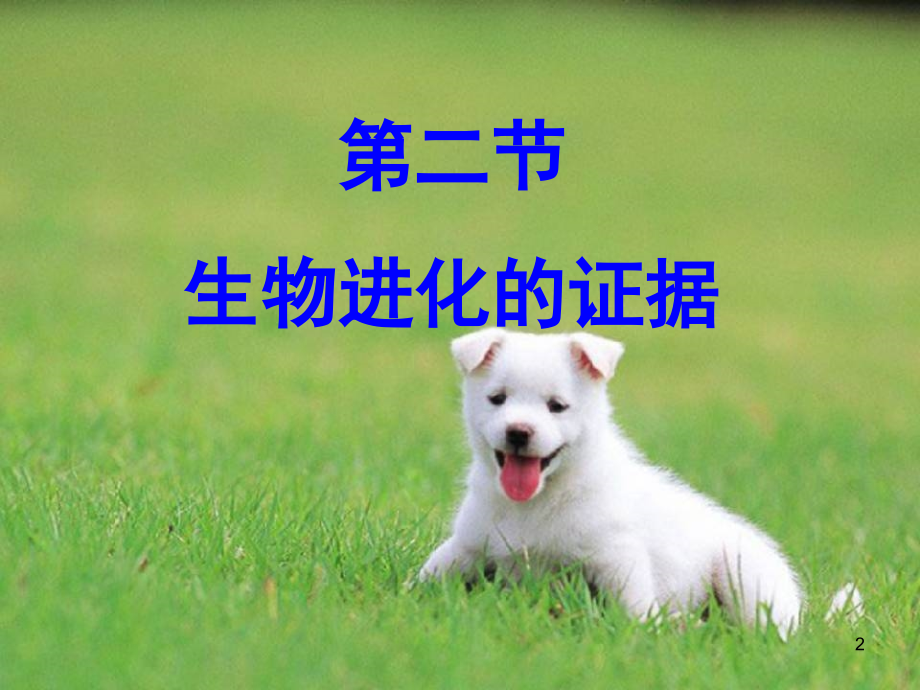 生物进化的证据(课堂PPT).ppt_第2页