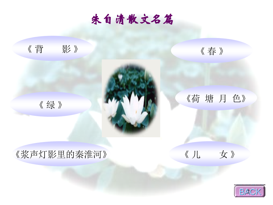 13、《背影》优秀课件PPT.ppt_第2页