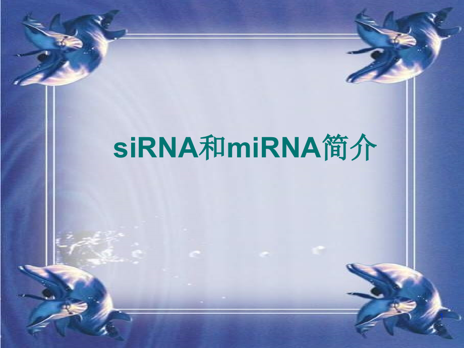 siRNA和miRNA简介PPT课件.ppt_第1页