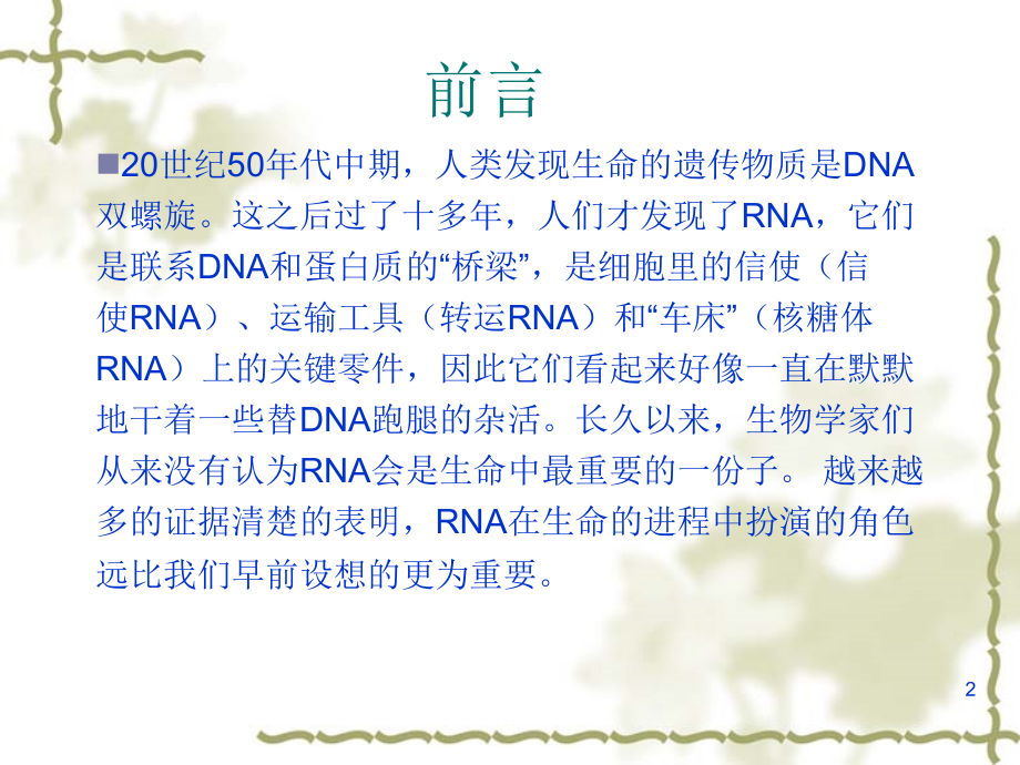 siRNA和miRNA简介PPT课件.ppt_第2页