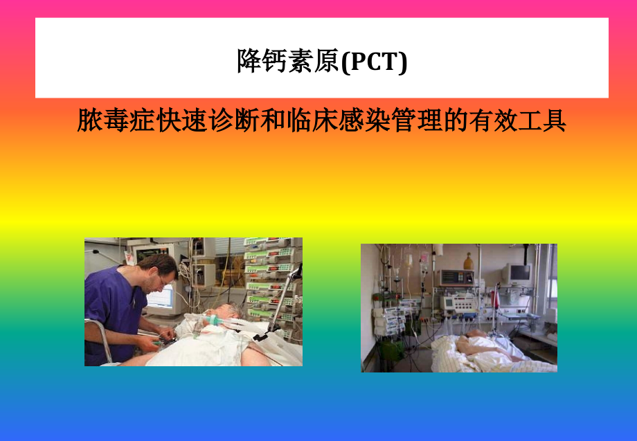 PCT项目应用介绍.ppt_第1页