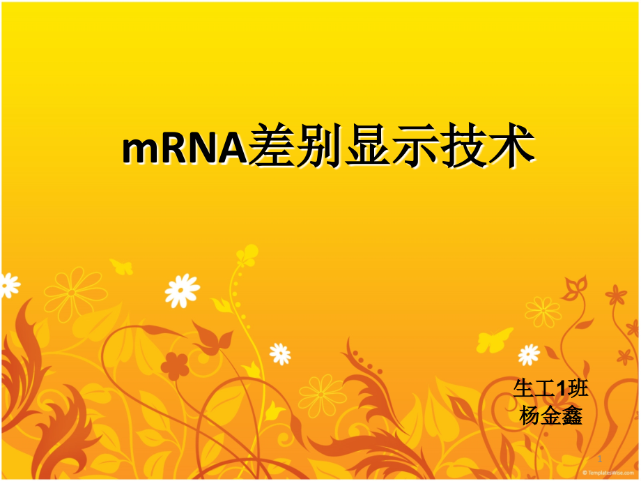 mRNA差别显示技术.ppt_第1页