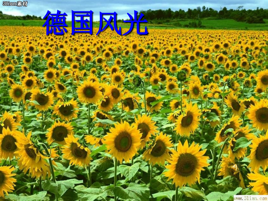 自己的花是让别人看的.ppt_第2页