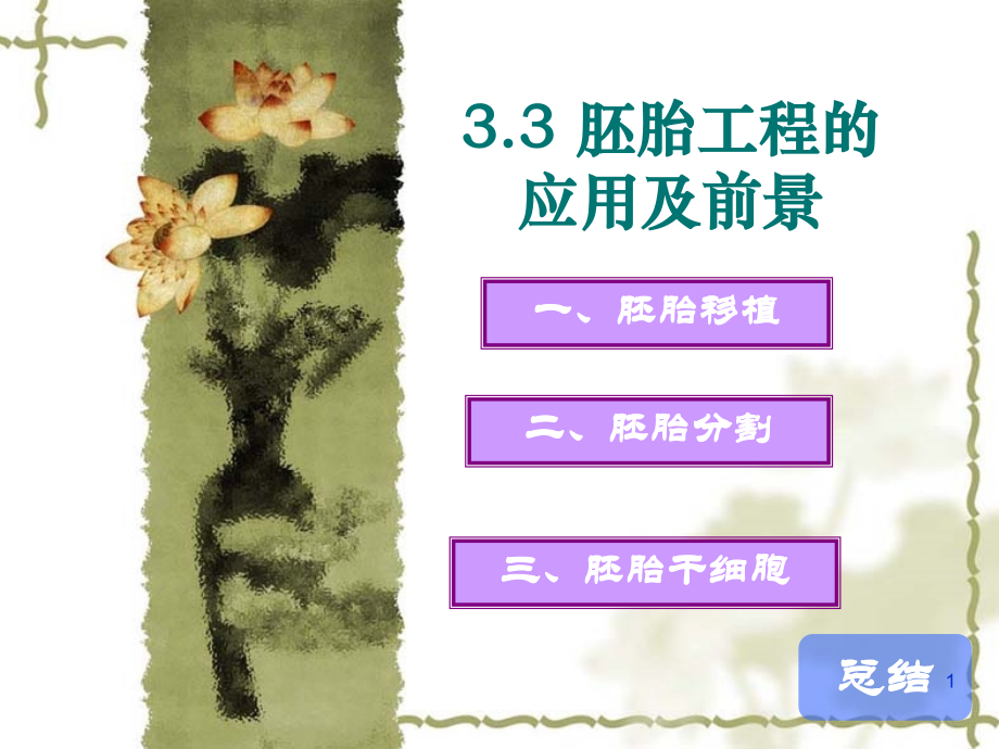 3.3胚胎工程的应用及前景PPT幻灯片课件.ppt_第1页