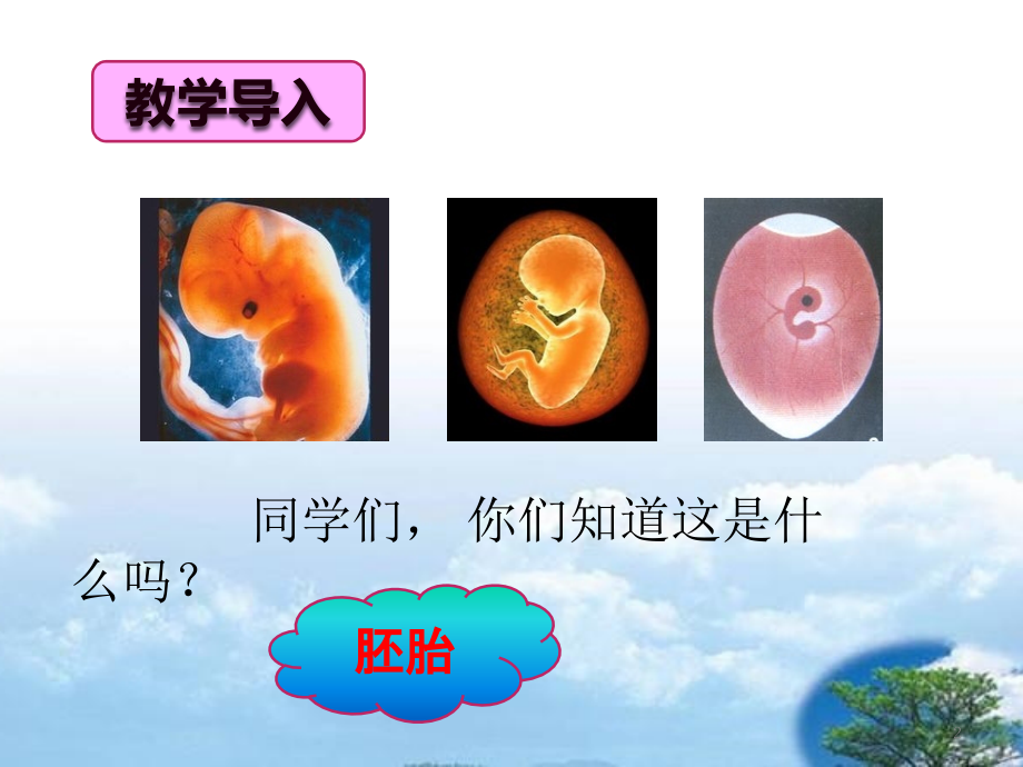 童年的发现.pptx_第2页