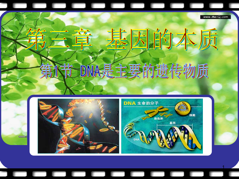 DNA是主要的遗传物质.ppt_第1页