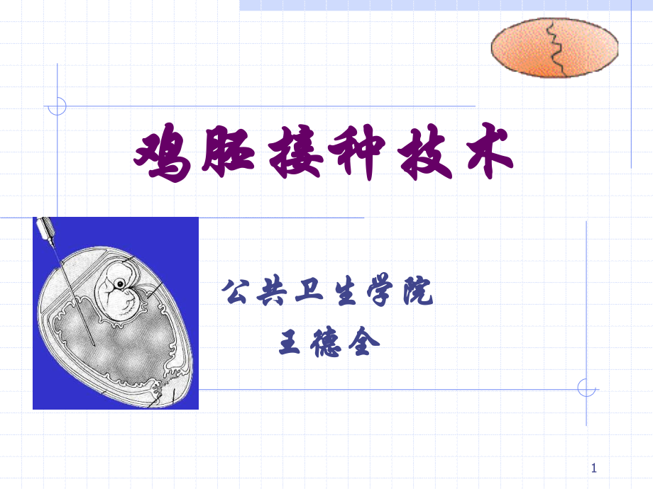 -鸡胚接种方法优秀PPT.ppt_第1页
