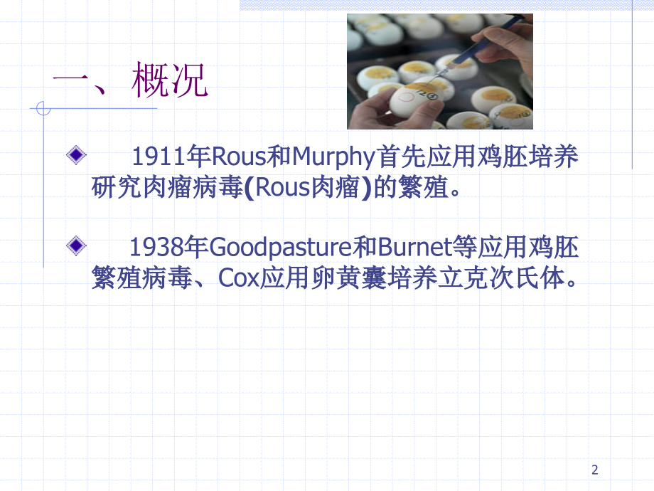 -鸡胚接种方法优秀PPT.ppt_第2页