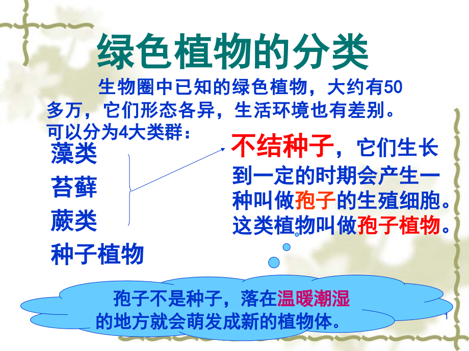 人教版生物七年级上册藻类、苔藓和蕨类植物(课堂PPT).ppt_第1页