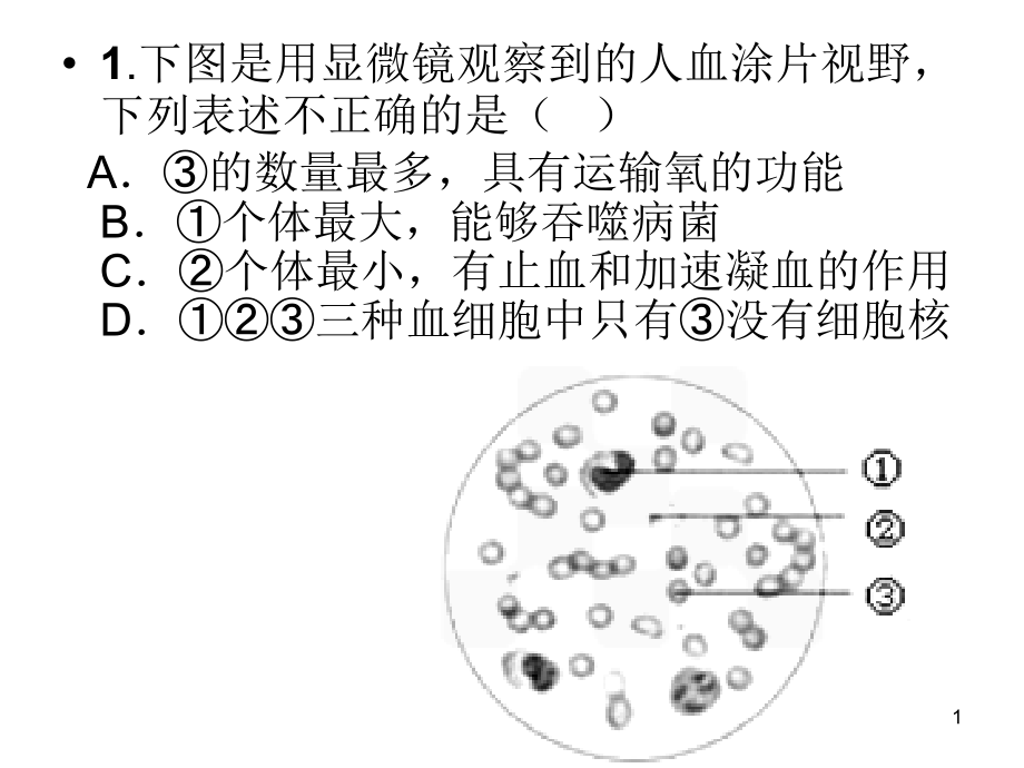 血液循环系统-复习.ppt_第1页